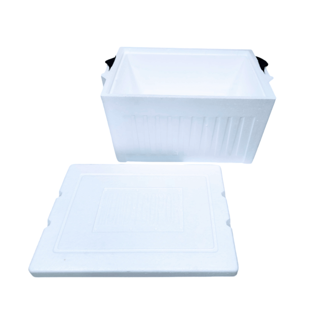 CCC CAVA NEVERA ACANALADA 42 LITROS REF 0913 - Image 1